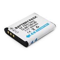 Batterie per Sanyo Xacti VPC-CG20TAP